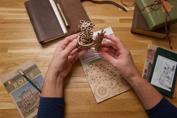 3D Træpuslespil Ror-Organizer uGEARS