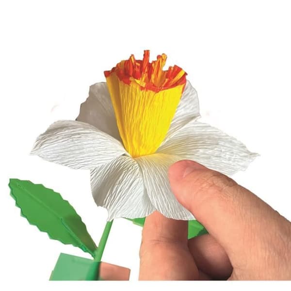 CLEMENTONI - Skapa dina blommor - Narciss