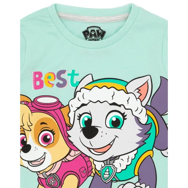Paw Patrol Childrens/Kids Skye & Everest Long-Sleeved Pyjama Set