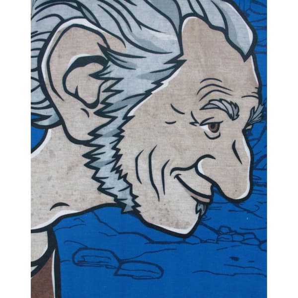 The BFG Boys Giant Country Pyjama Set