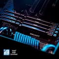 Miniatyrbillede 6 af 6: Kingston FURY Beast - DDR5 - modul - 8 GB - DIMM 288-PIN - 5200 MHz / PC5-41600 - CL38 - 1,25 V - ubuffret - på matricen ECC (KF552C40BB-8)