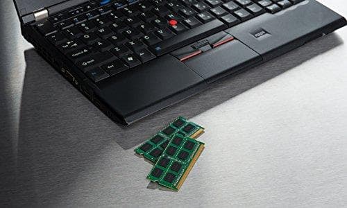 Kingston Technology KCP556US8-16 hukommelsesmodul 16 GB 1 x 16 GB DDR5 (KCP556US8-16)