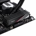 Miniatyrbild 5 av 5: RAM-minne Apacer AH4U16G32C28YTBAA-1 16 GB DDR4 3200 MHz CL16