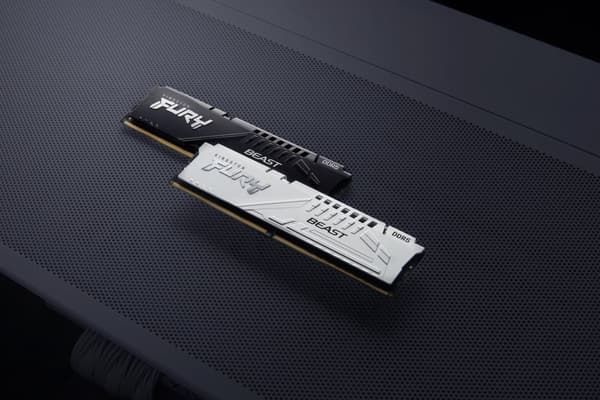 Kingston Technology FURY Beast 32GB 6000MT/s DDR5 CL36 DIMM Sort EXPO