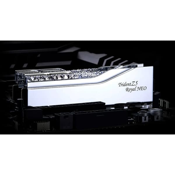 RAM-muisti GSKILL F5-8000J4048G24GX2-TR5NS