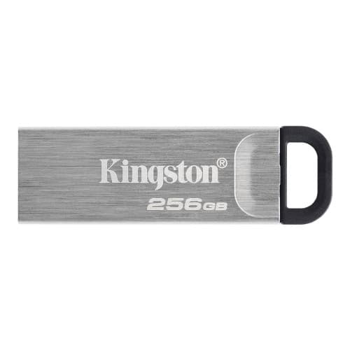 Kingston DataTraveler Kyson - USB flash-enhet - 256 GB Silver