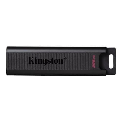 Kingston DataTraveler Max - USB flash-enhet - 256 GB Svart