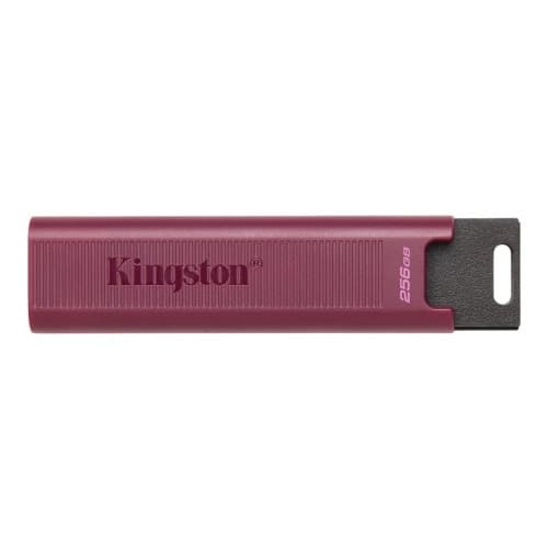 Kingston DataTraveler Max - USB flash-enhet - 256 GB