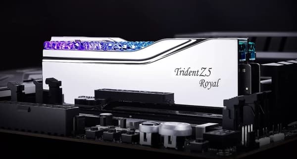 G.Skill F5-8400J4052G24GX2-TR5S hukommelsesmodul 48 GB 2 x 24 GB DDR5 8400 MHz
