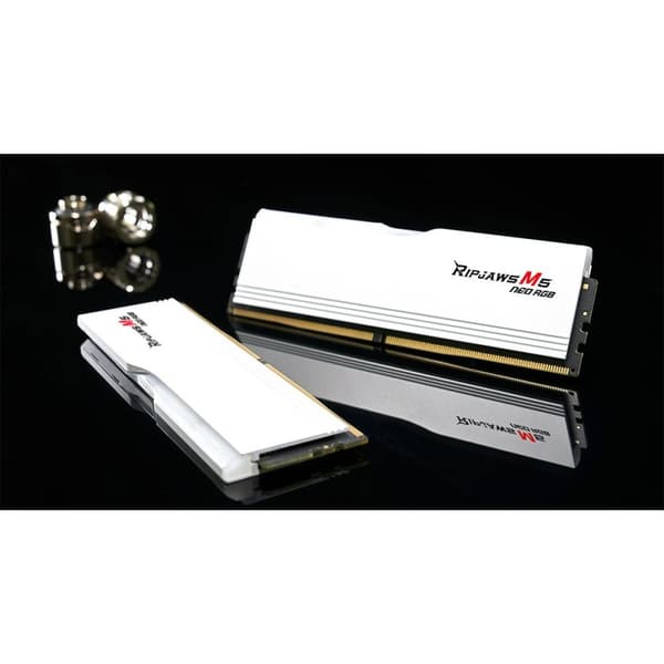 RAM-minne GSKILL F5-6000J3036F48GX2-RM5NRW 96 GB DDR5 cl30