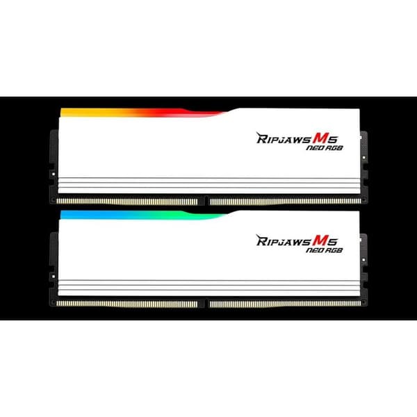 RAM-minne GSKILL F5-6000J3036F48GX2-RM5NRW 96 GB DDR5 cl30