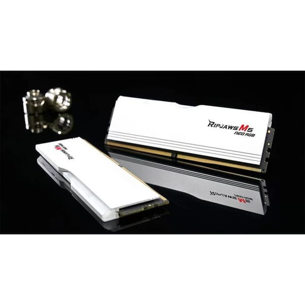 RAM-minne GSKILL F5-6000J3036F48GX2-RM5NRW 96 GB DDR5 cl30