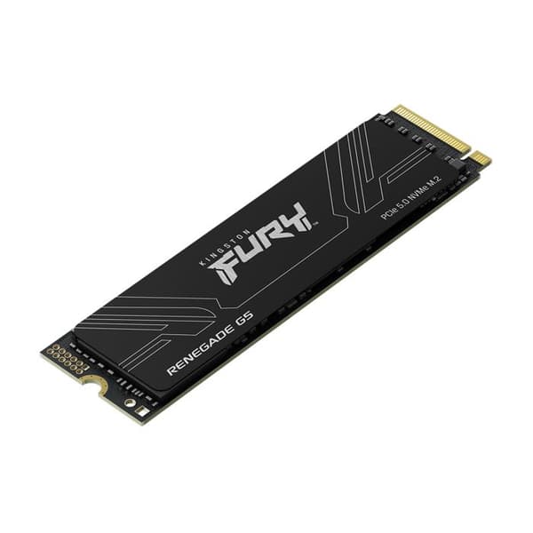 KINGSTON FURY Renegade G5 1024