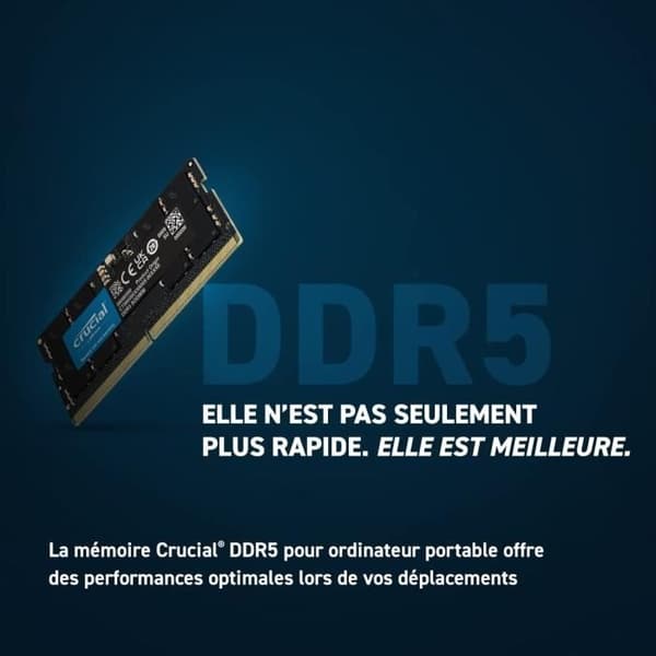 RAM - CRUCIAL - DDR5-4800 SODIMM - 32 GB (CT32G48C40S5)