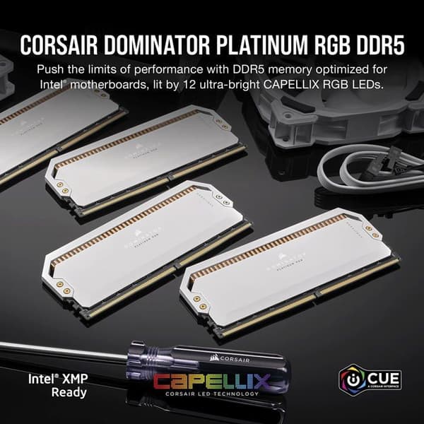 RAM - Corsair - Dominator Platinum DDR5 64 GB (2 x 32 GB) 5200 MHz CL40 - Vit