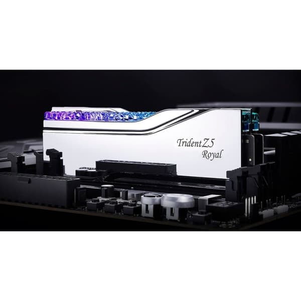 RAM-hukommelse GSKILL F5-6800J3445G32GX2-TR5S