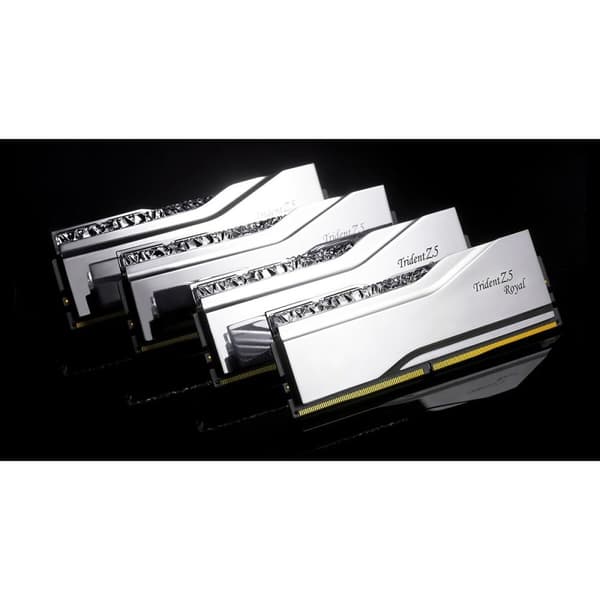 RAM-hukommelse GSKILL F5-6800J3445G32GX2-TR5S