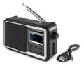 Miniatyrbild 1 av 10: Audizio Parma Portable DAB+ Radio med batteridrift