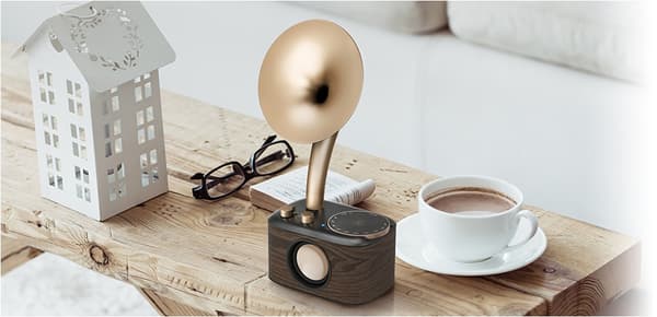 Sangean Euphonic 45X Guld