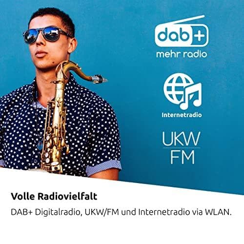 Technisat DigitRadio 143 CD (V3) svart (0000/3989)