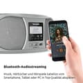 Miniatyrbillede 4 af 6: TechniSat DigitRadio 1990 Analog & Digital 3 W Sølv (0001/3952)