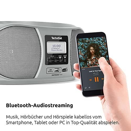 TechniSat DigitRadio 1990 Analog & Digital 3 W Sølv (0001/3952)