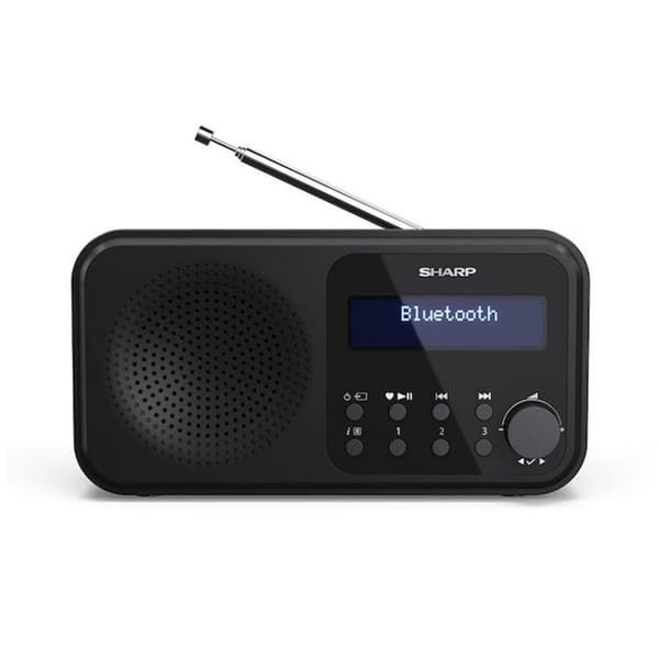 Sharp DR-P420 Radio Sort