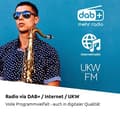 Miniatyrbillede 2 af 6: TechniSat DigitRadio 574 IR si DAB+/FM/internetradio med 10,20 cm (4") farvedisplay Blueto. (0001/2951)