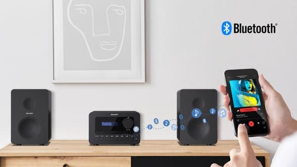 Sharp TOKYO DAB+ HI-FI Micro System Home Audio Micro System 40 W Sort (XL-B520DBK)