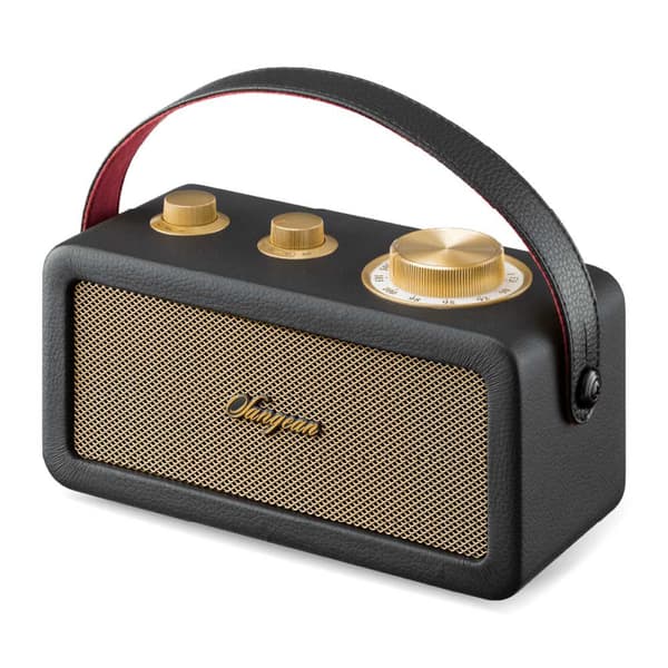 Sangean Bærbar Radio Ra-101 Gylden