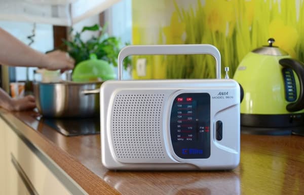 Radio Ania 3 ELTRA silver