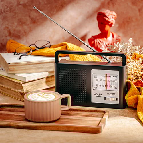 AD 1909 AM/FM Radio - Antenne