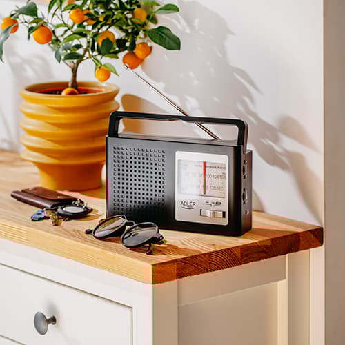 AD 1909 AM/FM Radio - Antenne
