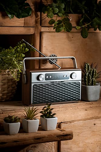 CR 1183 Bluetooth-radio