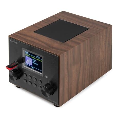 Audizio Vieste DAB+ Radio med Subwoofer - Trä
