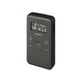 Miniatyrbillede 1 af 11: Transistorradio Sangean DT-140 Sort AM/FM
