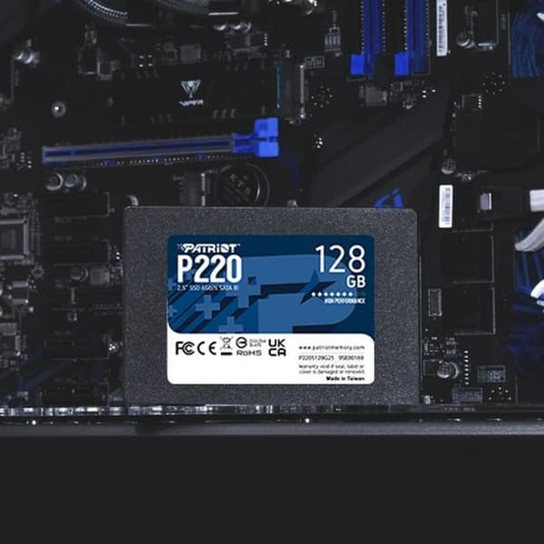 Harddisk Patriot Memory P220 128 GB SSD