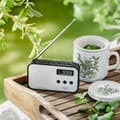 Miniatyrbillede 11 af 11: Radio Adler AD 1907