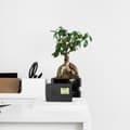 Miniatyrbild 3 av 3: Radio Evoom LEKIO Svart