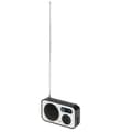 Miniatyrbillede 1 af 11: Radio Adler AD 1906