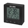 Miniatyrbillede 1 af 2: Clockradio ELBE RD005N