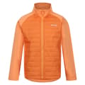 Miniatyrbilde 3 av 5: Regatta Childrens/Kids Hydrate VIII 3 In 1 Waterproof Jacket