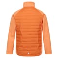 Miniatyrbilde 4 av 5: Regatta Childrens/Kids Hydrate VIII 3 In 1 Waterproof Jacket