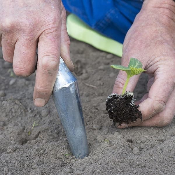 Sett med 2 produkter. Konisk metallkasse - 29 cm for potting