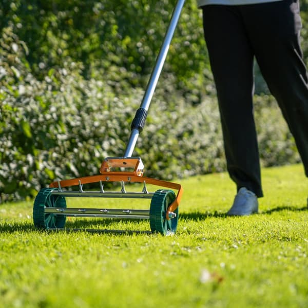 Lawn Leveller & Aerator Manual Grass Roller 3.8cm Spikes 50cm or 100cm x 32cm Levelling Rake Lute Removable Dual Purpose Extendable Handle 1.15 - 1.9m