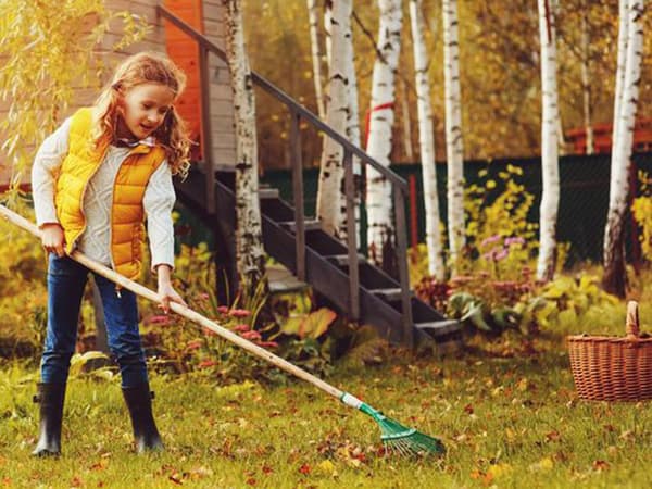Lehtiharava / Harava – Metalli