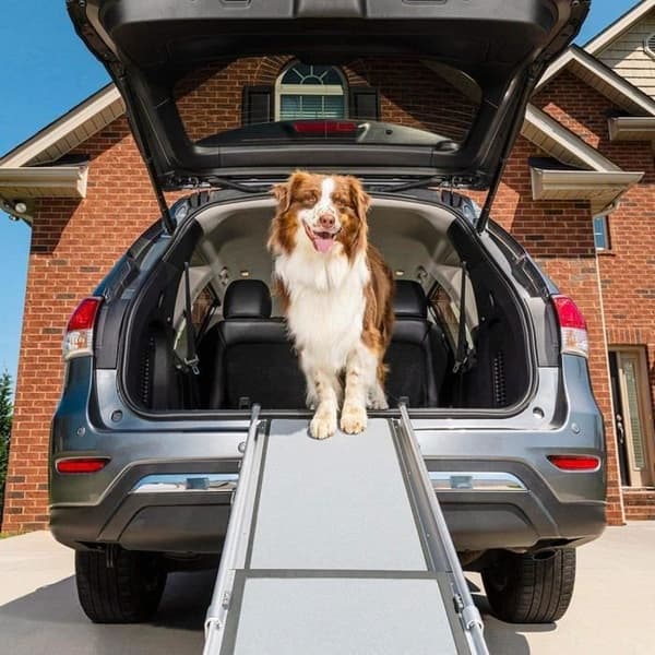 PetSafe Happy Ride - Teleskopisk ramp för hund tar upp till 180 kg