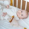 Pikkukuva 2 / 3: Grabbing Toy Lion - Babynord