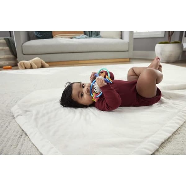 Fisher-Price BPA-fri skallra och barnsjukdomar leksak för nyfödda, vrida och tugga utter HJW12