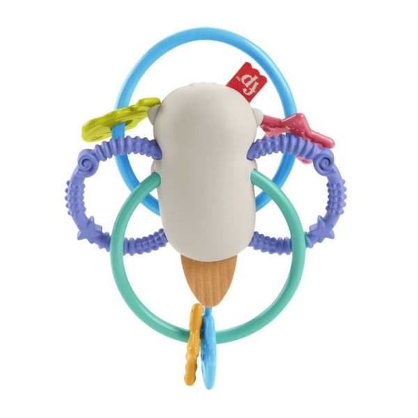 Fisher-Price BPA-fri skallra och barnsjukdomar leksak för nyfödda, vrida och tugga utter HJW12